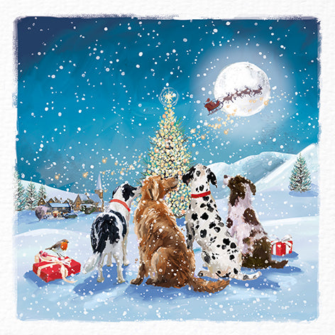 Christmas card design showing four dogs in a snowy scene with a Christmas tree and Santa's sleigh in the sky.