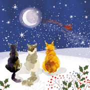Front cover of the Arthritis UK Christmas Card 'Guess Who We Saw' featuring three cats gazing at a moon and starlit sky, while Father Christmas passes by. 