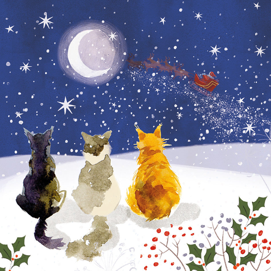 Front cover of the Arthritis UK Christmas Card 'Guess Who We Saw' featuring three cats gazing at a moon and starlit sky, while Father Christmas passes by. 