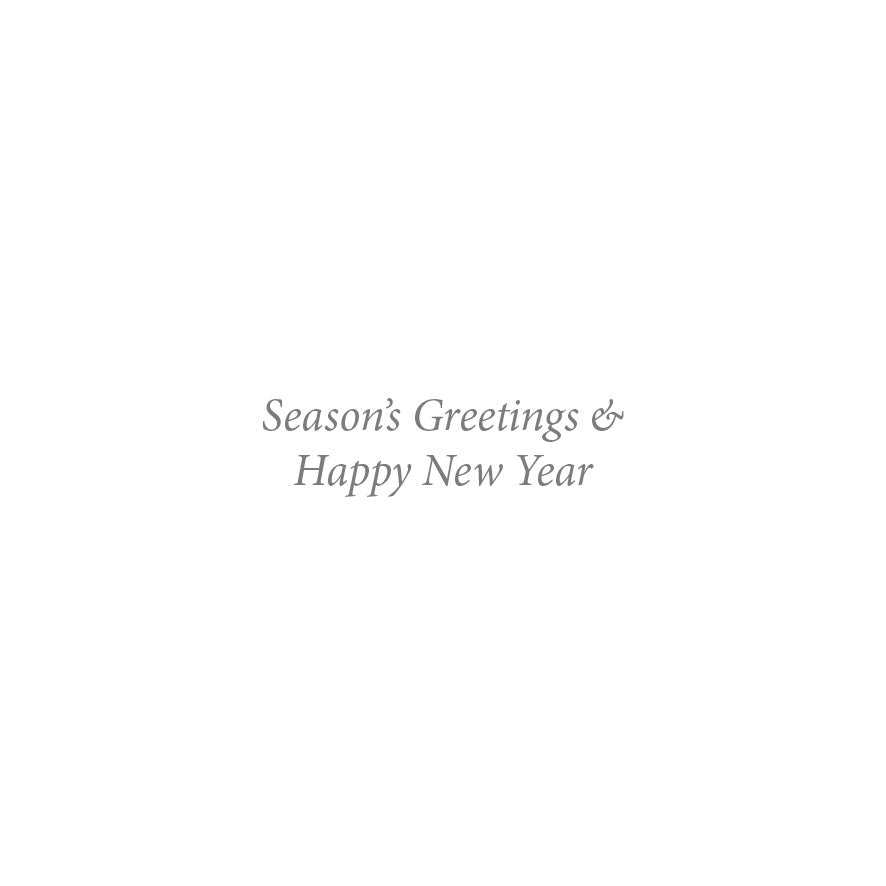 Kitten at the Window - Christmas Card (10 pack)