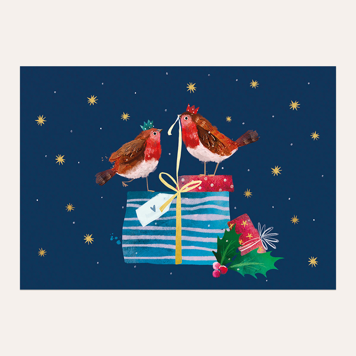 Money Wallet front cover showing two robins opening a present against a dark blue starry background. 