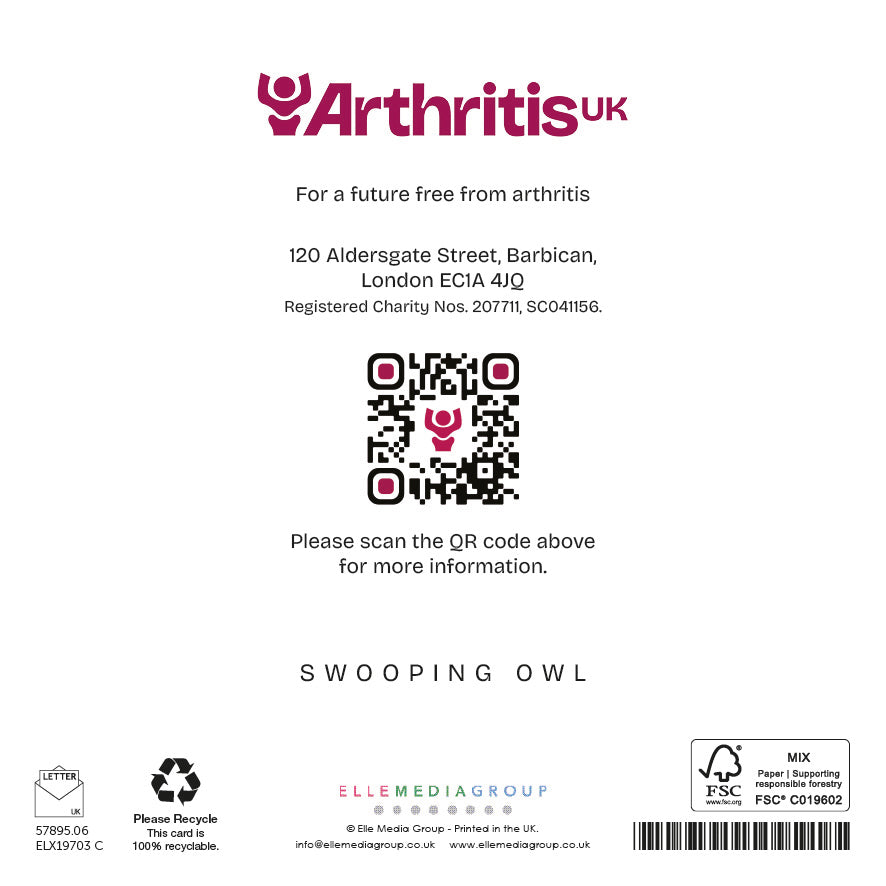 Swooping Owl - Christmas Card (10 pack)