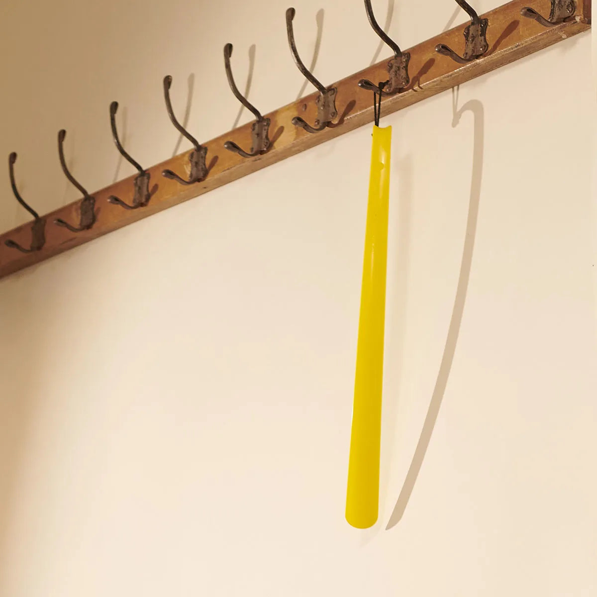 Long Handled Plastic Shoe Horn